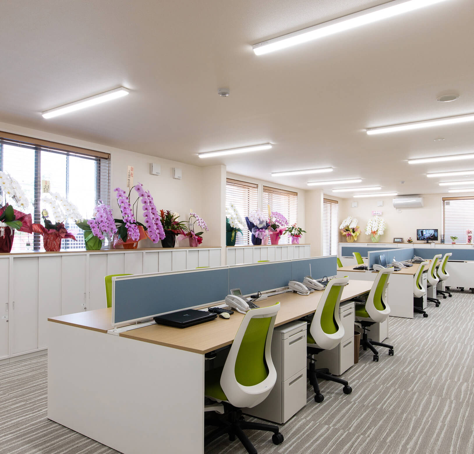 税理士法人ソラシド事務所